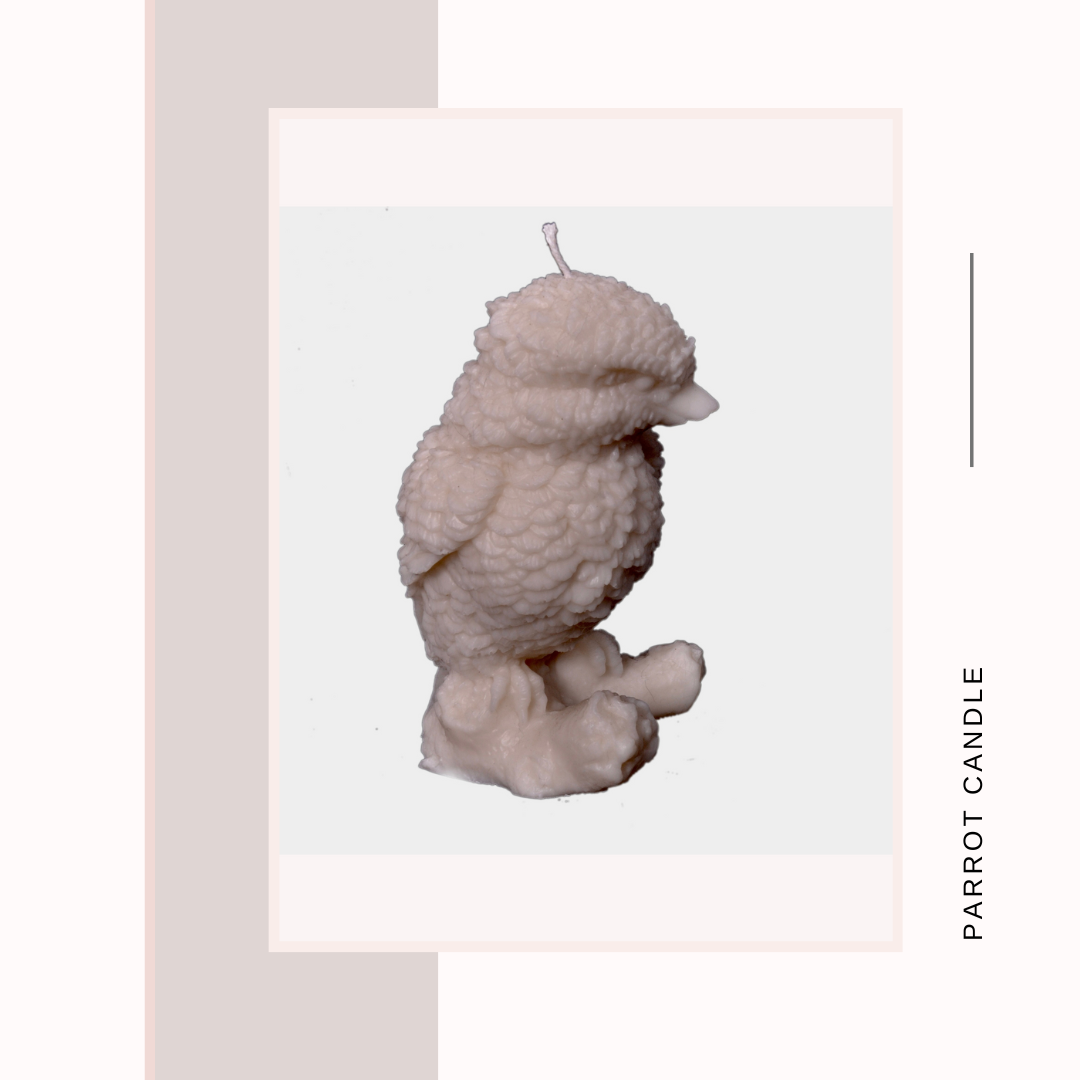 Parrot Candle