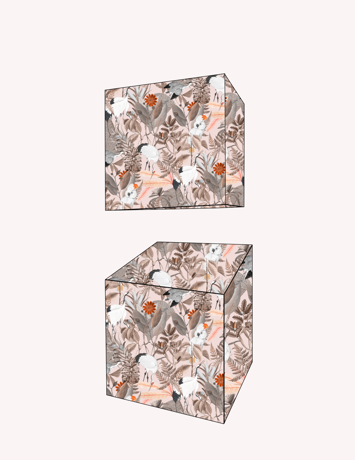 Favour Box