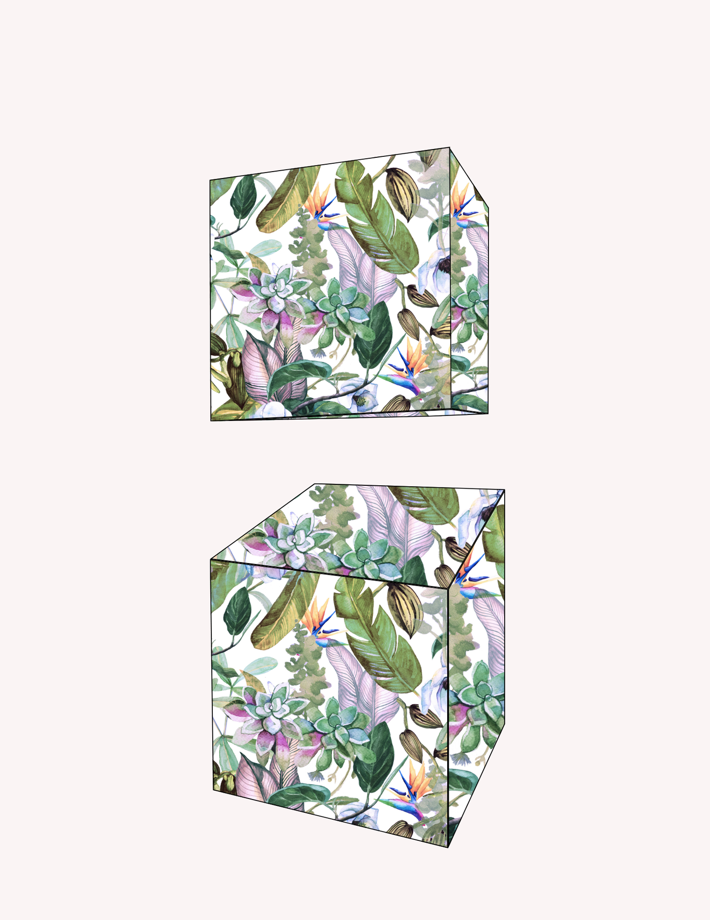Favour Box