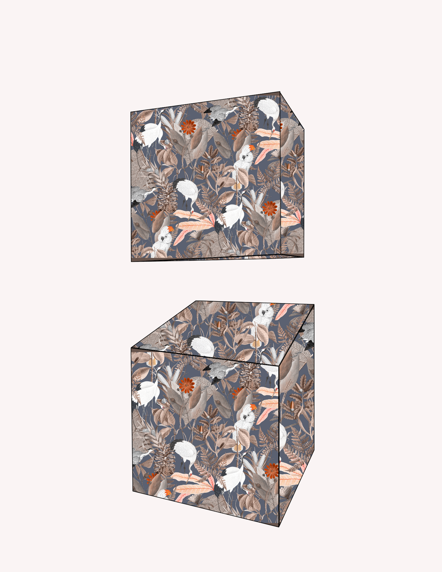 Favour Box