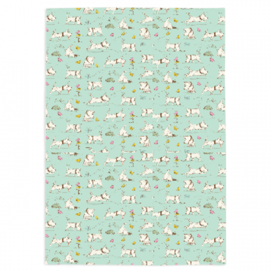 Pet Blankets