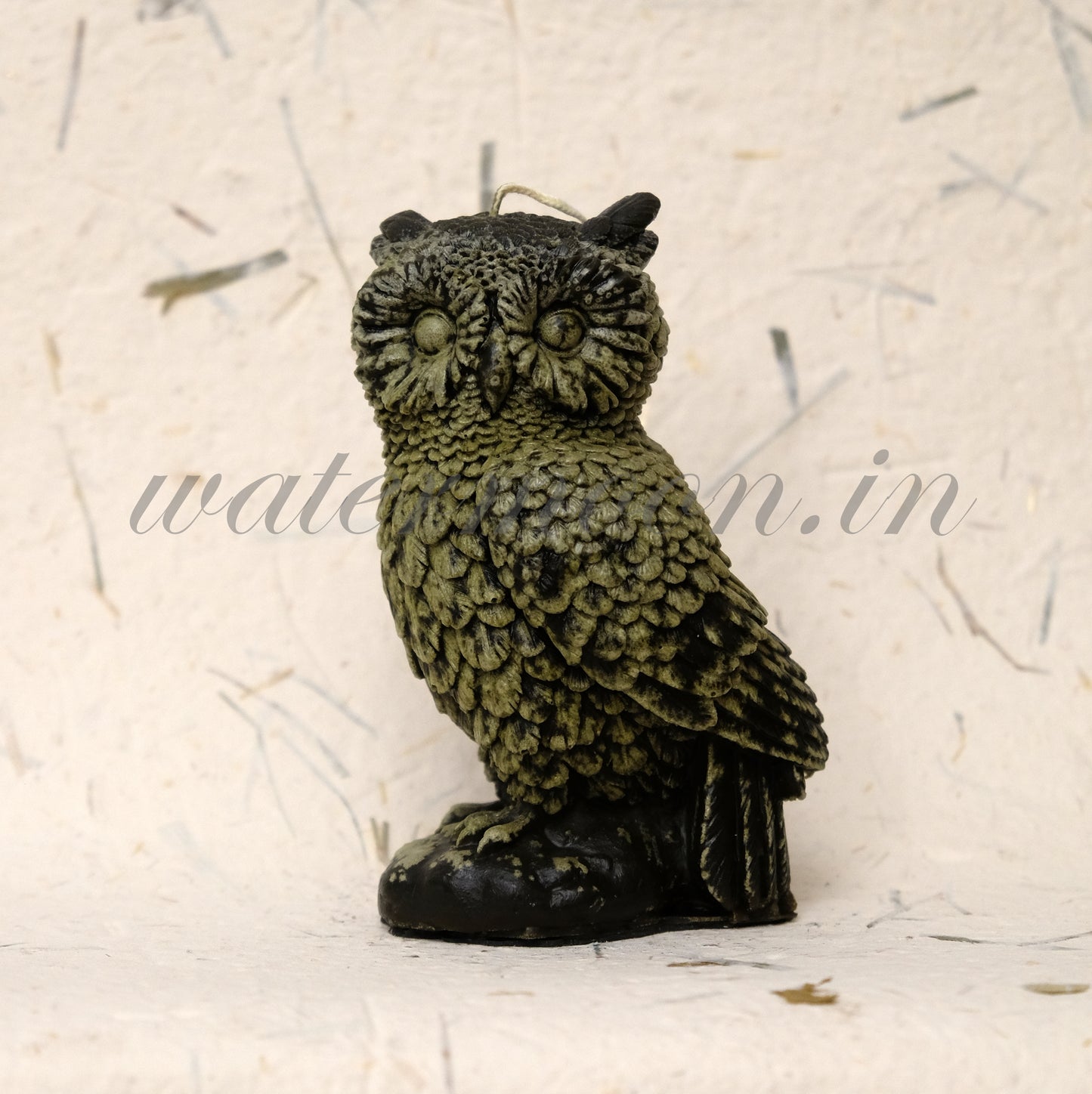 Owls