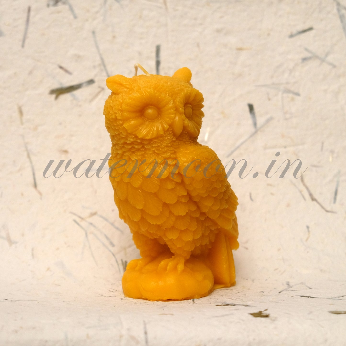 Owls