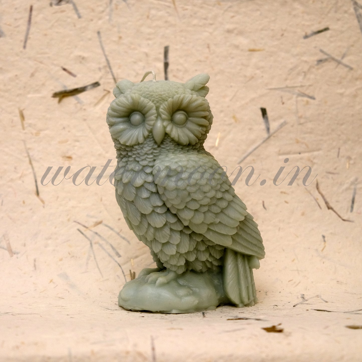 Owls