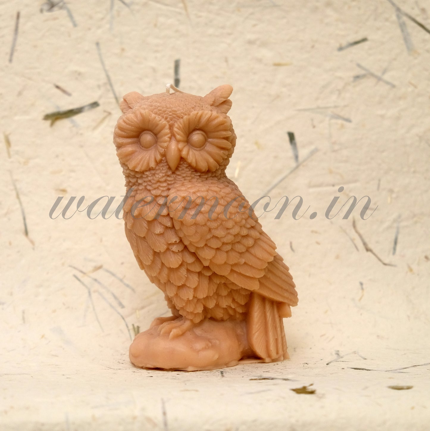 Owls