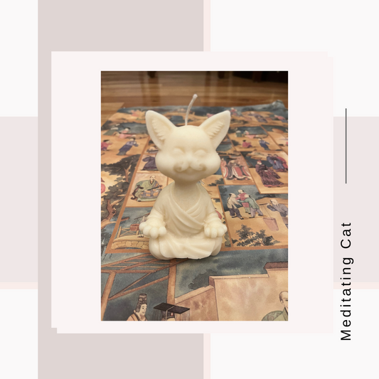 Meditating Cat