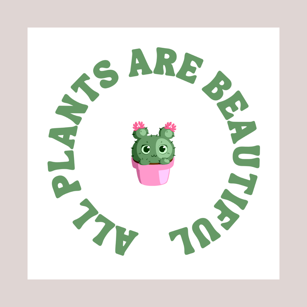 DIY Grow a Plant Kit Favours