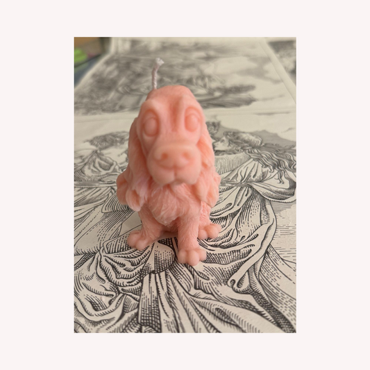Dog Candle