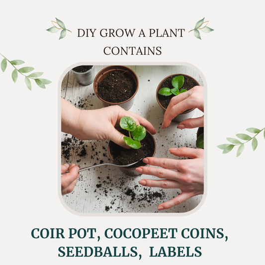 DIY Grow a Plant Kit Favours