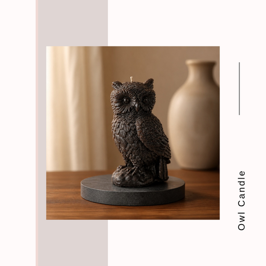 Owls