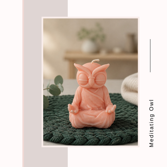 Meditating Owl