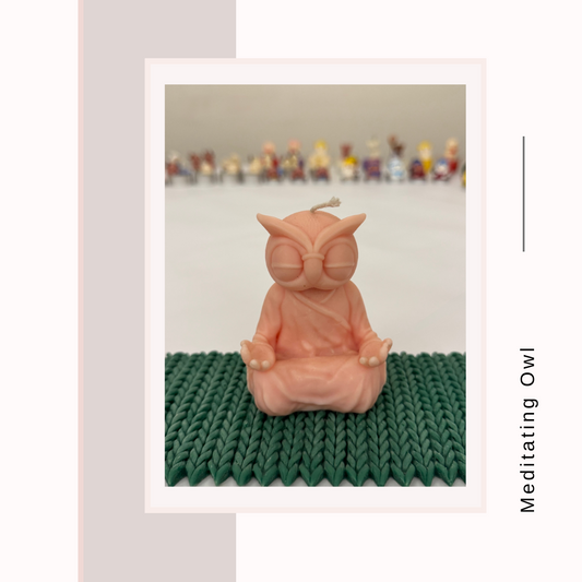 Meditating Owl