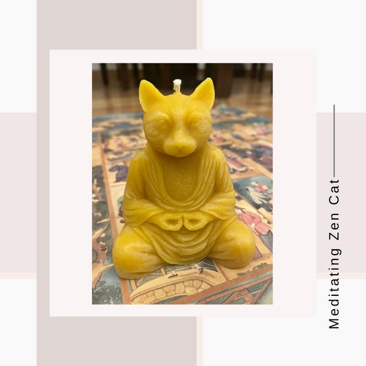 Meditating Zen Cat