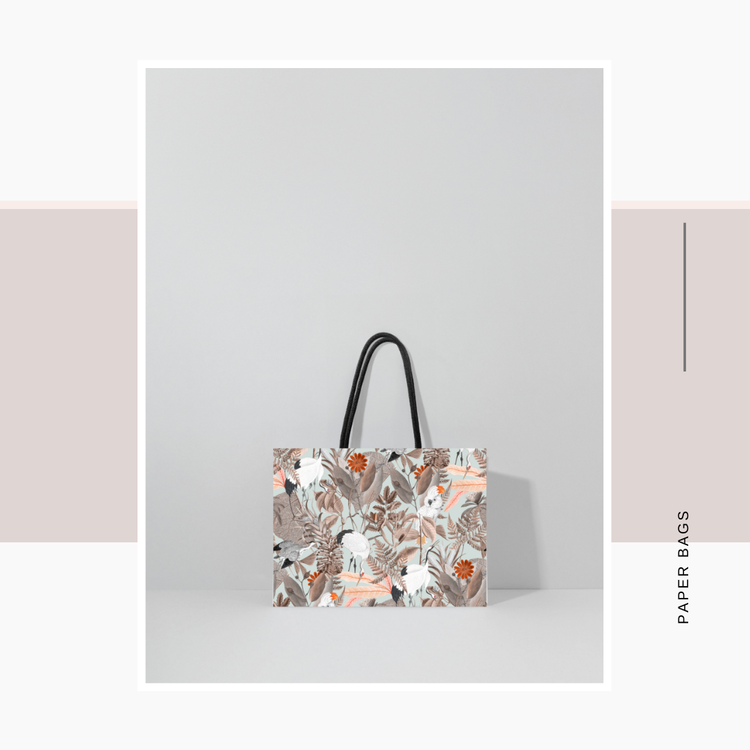 Paper Bags Misc  (Set of 50)