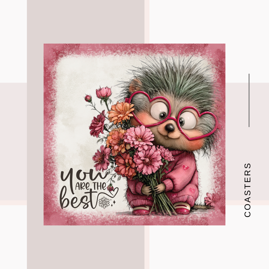 Valentine Teddy Coasters