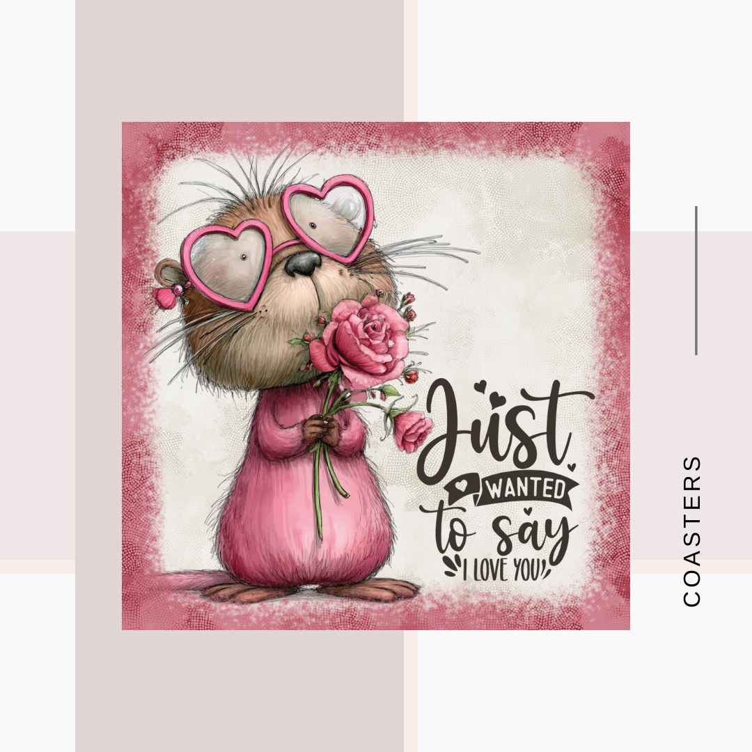 Valentine Teddy Coasters