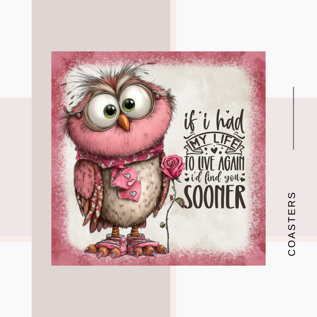 Valentine Teddy Coasters