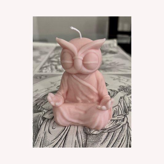 Meditating Owl