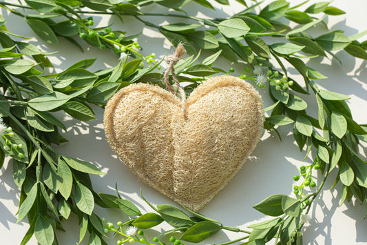 Natural Loofah