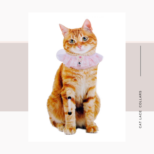 Cat lace Collars