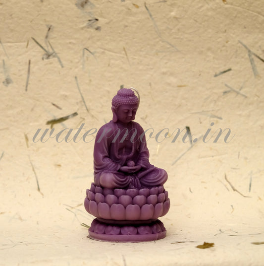 The Meditating Buddha